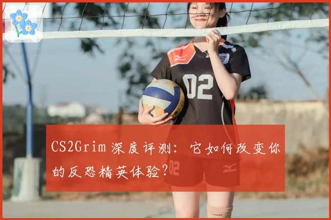 CS2Grim 深度评测：它如何改变你的反恐精英体验？