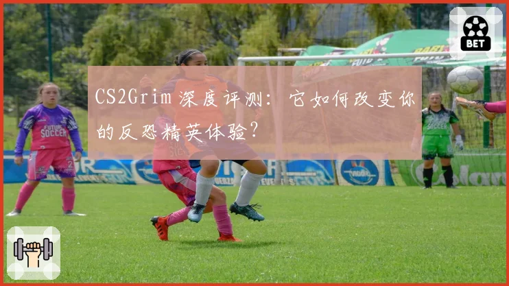 CS2Grim 深度评测：它如何改变你的反恐精英体验？