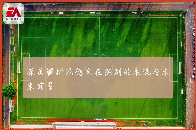 深度解析范德文在热刺的表现与未来前景
