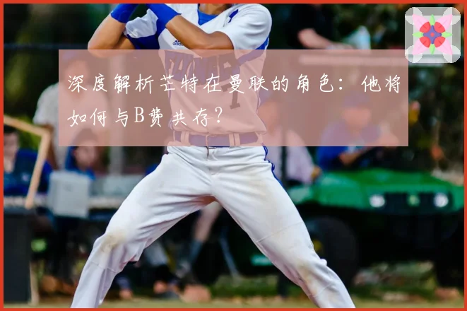 深度解析芒特在曼联的角色：他将如何与B费共存？